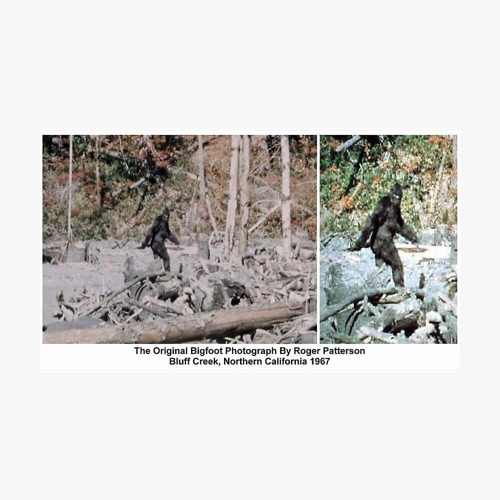 Kritik mund overholdelse Bigfoot: High Quality Photographic Print" Metal Print for Sale by  Crucible2020 | Redbubble