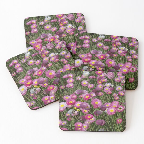 Item preview, Pink Everlasting Daisies designed and sold by Designsbygroovy.