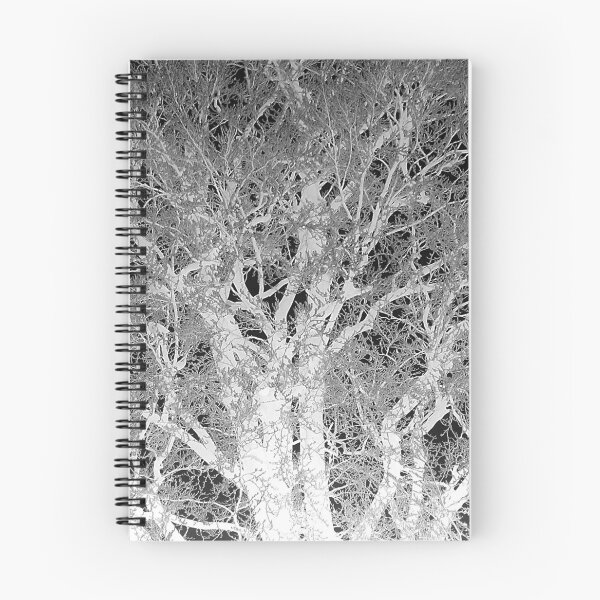 Item preview, Frosted beech tree 2, mono inverted designed and sold by paulboizot.