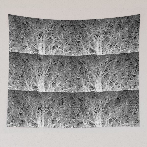 Item preview, Frosted beech tree 2, mono inverted designed and sold by paulboizot.