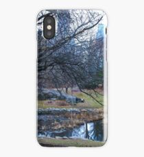 Winter Reflections iPhone Case/Skin