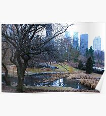 Winter Reflections Poster