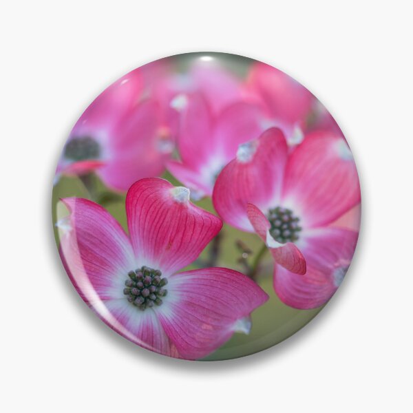 Item preview, Beautiful flowering dogwood in spring designed and sold by Elżbieta  Kaps.