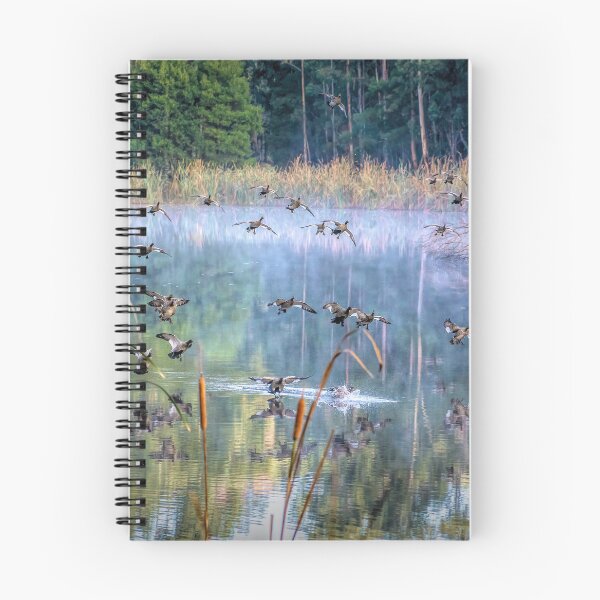 Item preview, Ducks Landing designed and sold by Kathie Thomas.