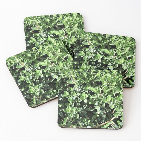 Item preview, green planchet from grass   designed and sold by sadeek1021953Ss.