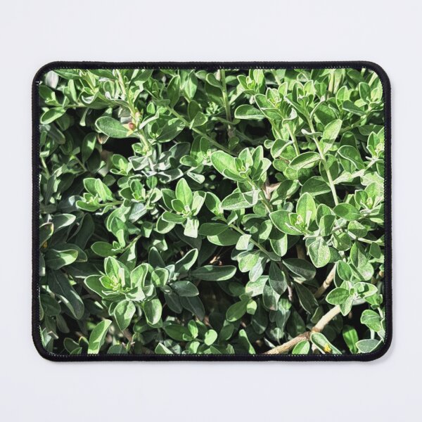 Item preview, green planchet from grass   designed and sold by sadeek1021953Ss.