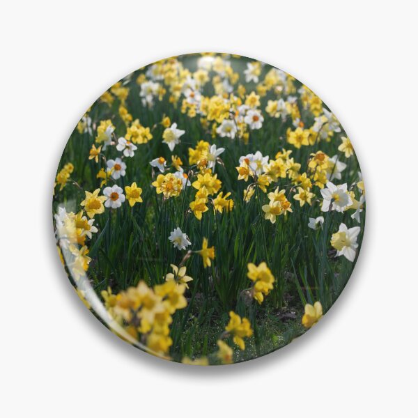 Item preview, Beautiful daffodil flowers in spring designed and sold by Elżbieta  Kaps.
