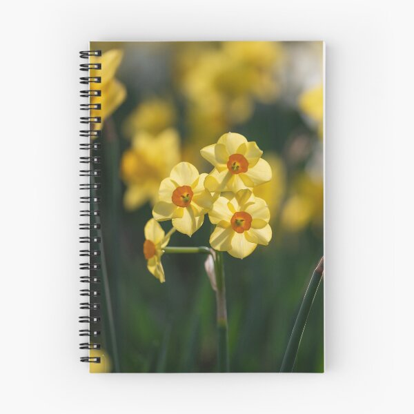 Item preview, Beautiful daffodil flowers in spring designed and sold by Elżbieta  Kaps.