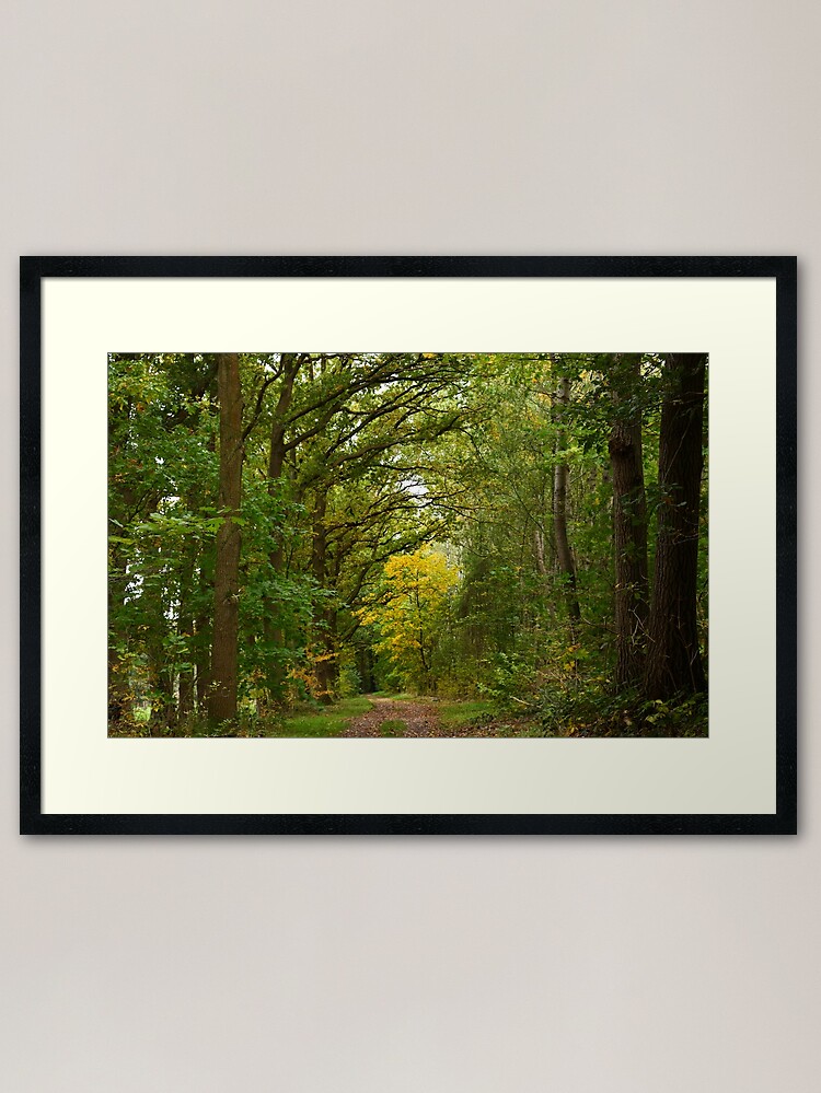 Thumbnail 2 of 7, Framed Art Print, A yellow tree on the road in the forest designed and sold by kriscareful.