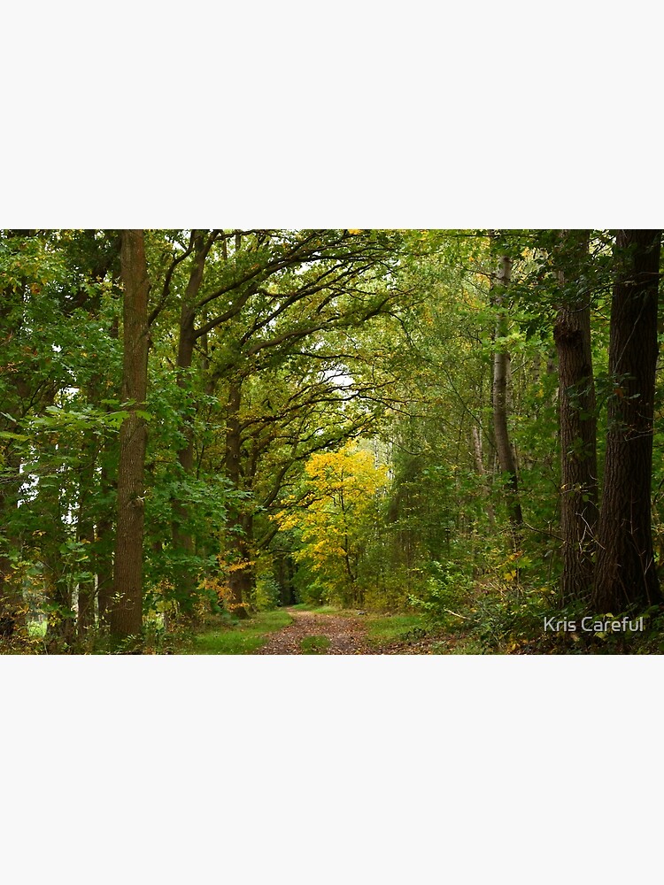 Thumbnail 7 of 7, Framed Art Print, A yellow tree on the road in the forest designed and sold by kriscareful.