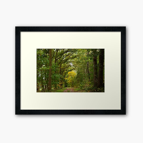 Framed Art Print