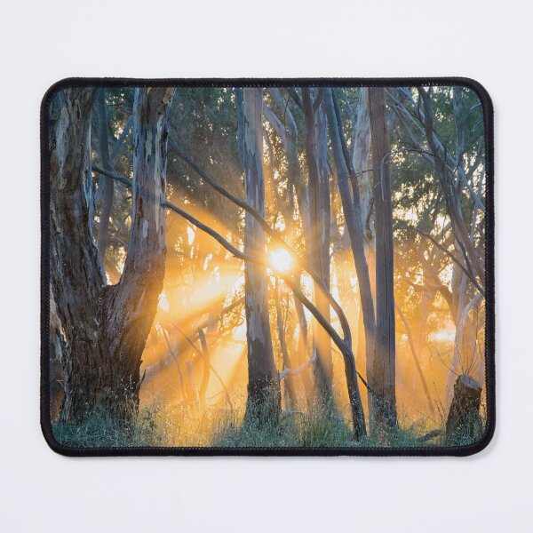 Item preview, The Sun's Last Rays designed and sold by Linda Lees.