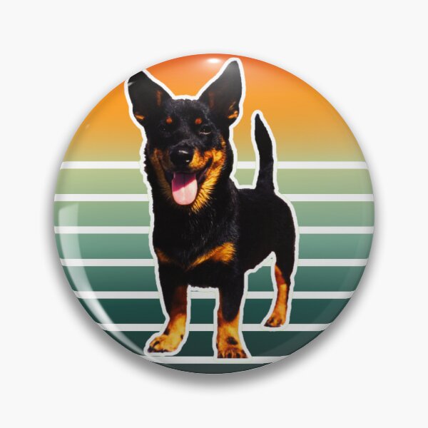 Item preview, Lancashire Heeler: Retro Vibes for the Best Dog Dad of the 70s and 80s designed and sold by BrooklynRhodes.