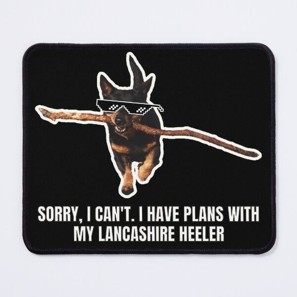 Item preview, Sorry, I Can't. I Have Plans with My Lancashire Heeler - Funny Meme Gift for Dog Lover designed and sold by BrooklynRhodes.