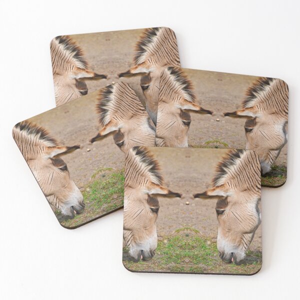 Item preview, Two Zebroid a cross between a zebra and a donkey  designed and sold by Peter Etchells.