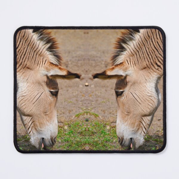 Item preview, Two Zebroid a cross between a zebra and a donkey  designed and sold by Peter Etchells.