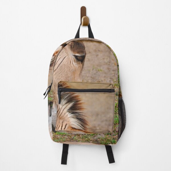 Item preview, Two Zebroid a cross between a zebra and a donkey designed and sold by Peter Etchells.