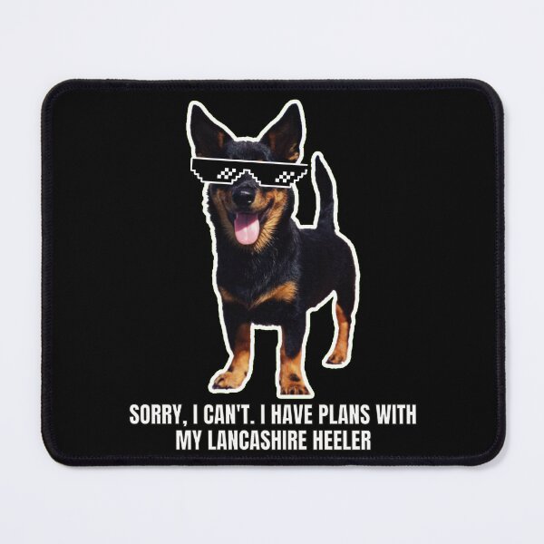 Item preview, Sorry, I Can't. I Have Plans with My Lancashire Heeler - Funny Meme Gift for Dog Lover designed and sold by BrooklynRhodes.