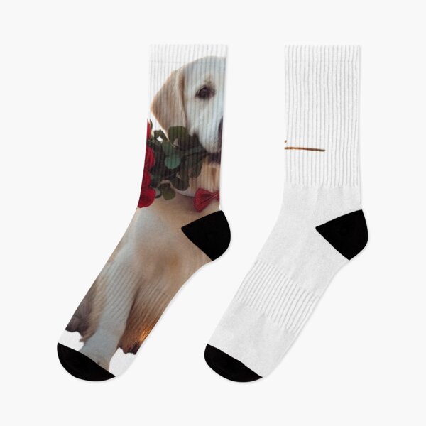 Item preview, golden retriever boyfriend designed and sold by Hassan Aamara.