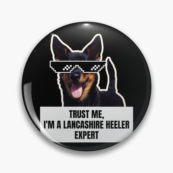 Item preview, Trust Me, I'm a Lancashire Heeler Expert - Funny Meme Gift for Dog Lovers designed and sold by BrooklynRhodes.