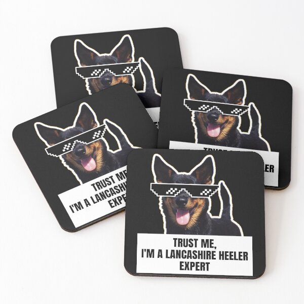 Item preview, Trust Me, I'm a Lancashire Heeler Expert - Funny Meme Gift for Dog Lovers designed and sold by BrooklynRhodes.