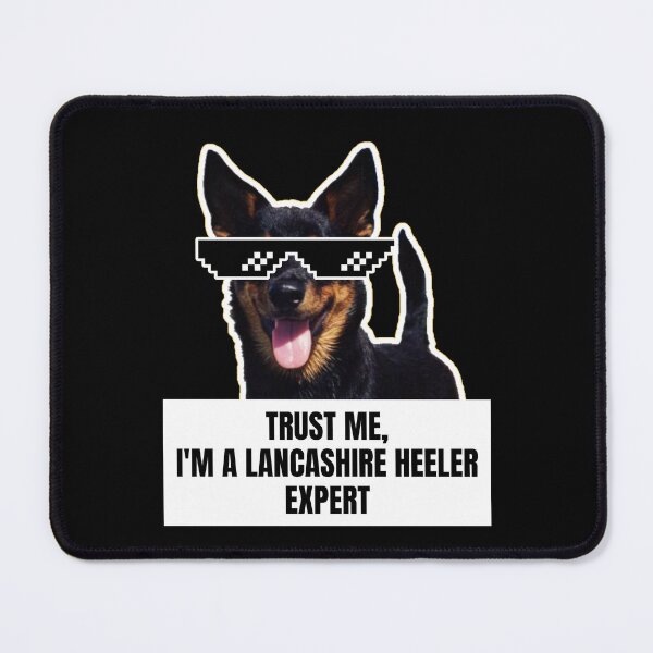 Item preview, Trust Me, I'm a Lancashire Heeler Expert - Funny Meme Gift for Dog Lovers designed and sold by BrooklynRhodes.