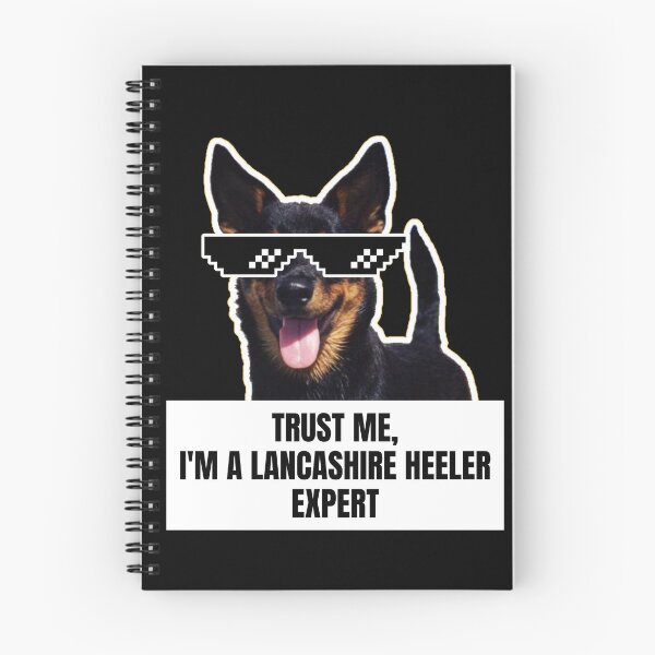 Item preview, Trust Me, I'm a Lancashire Heeler Expert - Funny Meme Gift for Dog Lovers designed and sold by BrooklynRhodes.