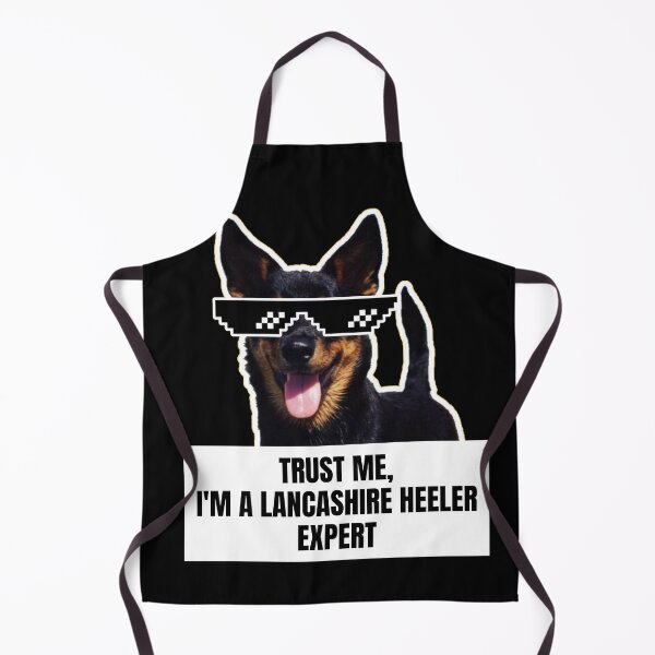 Item preview, Trust Me, I'm a Lancashire Heeler Expert - Funny Meme Gift for Dog Lovers designed and sold by BrooklynRhodes.