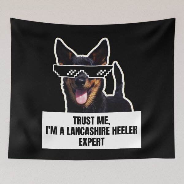 Item preview, Trust Me, I'm a Lancashire Heeler Expert - Funny Meme Gift for Dog Lovers designed and sold by BrooklynRhodes.