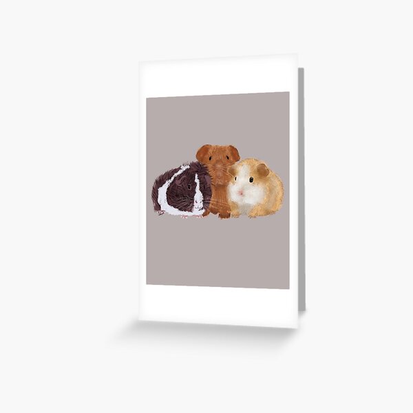 Guinea Pigs Greeting Card