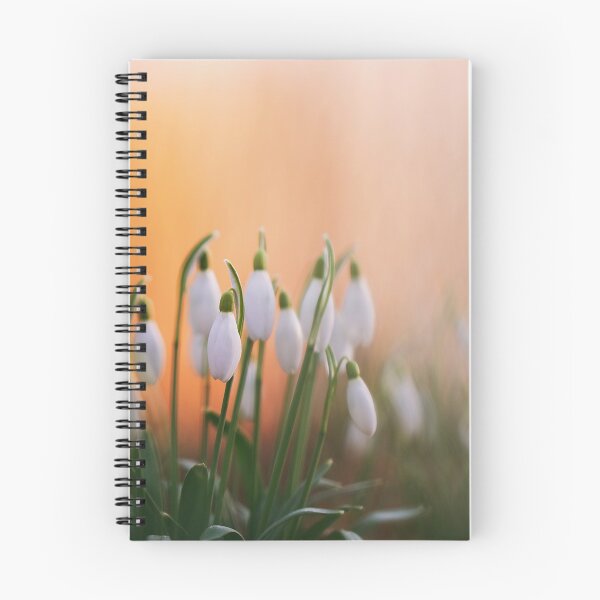 Item preview, Beautiful snowdrop flowers in spring in the forest designed and sold by Elżbieta  Kaps.