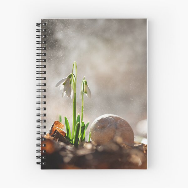 Item preview, Beautiful snowdrop flowers in spring in the forest designed and sold by Elżbieta  Kaps.