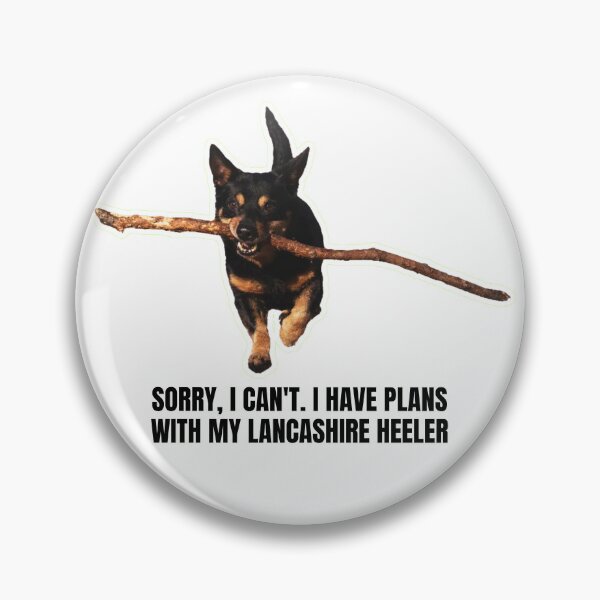 Item preview, Sorry, I Can't. I Have Plans with My Lancashire Heeler - Funny Meme Gift for Dog Lovers designed and sold by BrooklynRhodes.