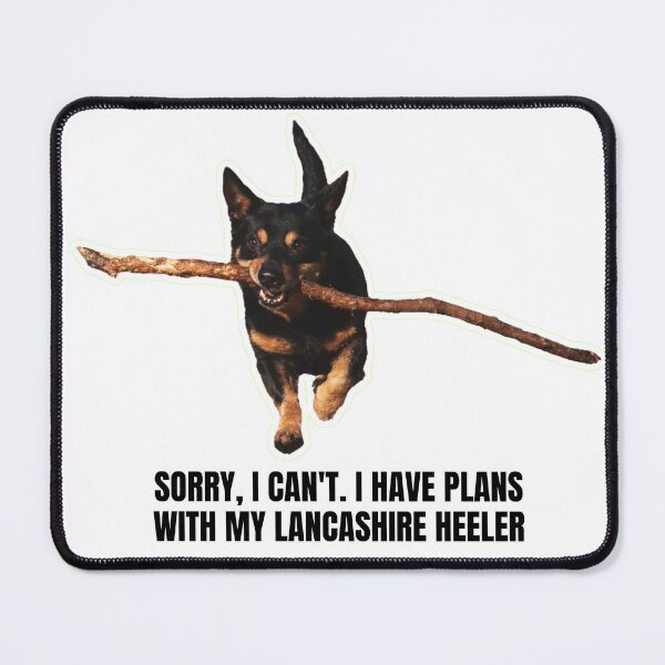 Item preview, Sorry, I Can't. I Have Plans with My Lancashire Heeler - Funny Meme Gift for Dog Lovers designed and sold by BrooklynRhodes.