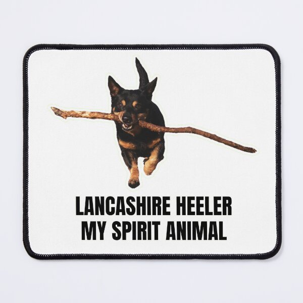 Item preview, Lancashire Heeler My Spirit Animal - Funny Gift for Dog Lovers designed and sold by BrooklynRhodes.