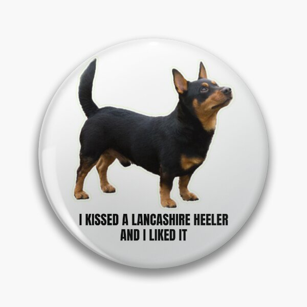Item preview, I Kissed a Lancashire Heeler and I Liked It - Funny Meme Gift for Lancashire Heeler Owners Who Can't Resist Their Furry Friend's Affection designed and sold by BrooklynRhodes.