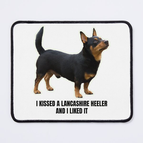 Item preview, I Kissed a Lancashire Heeler and I Liked It - Funny Meme Gift for Lancashire Heeler Owners Who Can't Resist Their Furry Friend's Affection designed and sold by BrooklynRhodes.