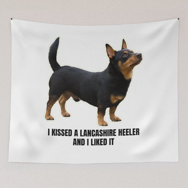 Item preview, I Kissed a Lancashire Heeler and I Liked It - Funny Meme Gift for Lancashire Heeler Owners Who Can't Resist Their Furry Friend's Affection designed and sold by BrooklynRhodes.