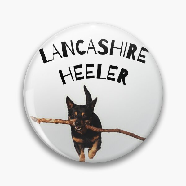 Item preview, Lancashire Heeler: The Ultimate Meme-Worthy Gift for Dog Lovers designed and sold by BrooklynRhodes.