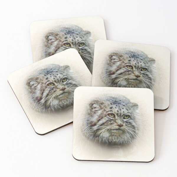 Item preview, Manul-Pallas's cat designed and sold by Guardi71.