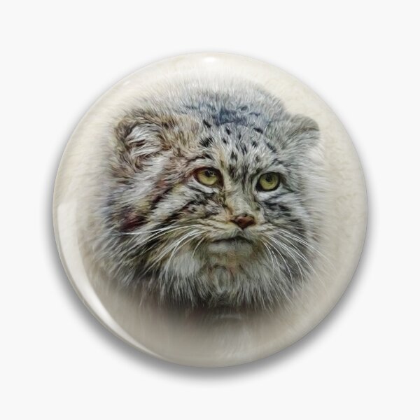 Item preview, Manul-Pallas's cat designed and sold by Guardi71.