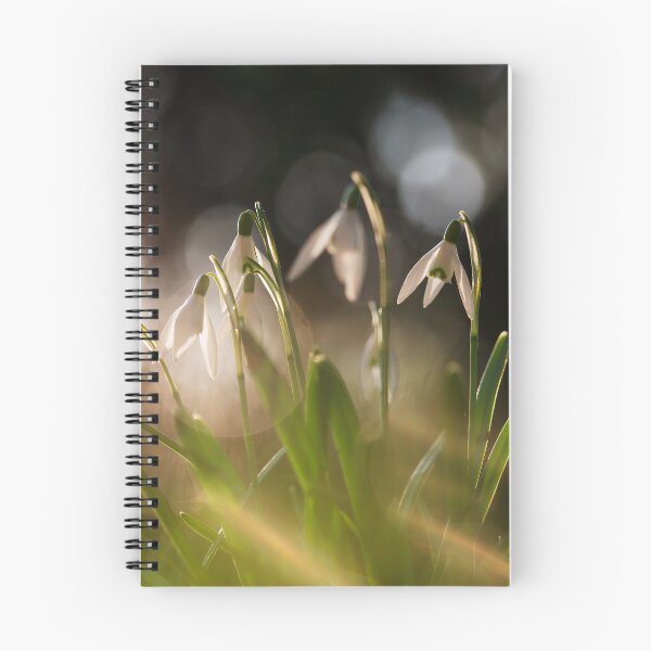 Item preview, Beautiful snowdrop flowers in spring in the forest designed and sold by Elżbieta  Kaps.