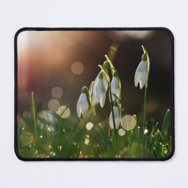 Item preview, Beautiful snowdrop flowers in spring in the forest designed and sold by Elżbieta  Kaps.