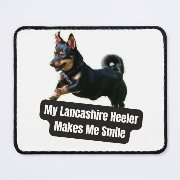 Item preview, My Lancashire Heeler Makes Me Smile - Funny Gift for Lancashire Heeler Owners designed and sold by BrooklynRhodes.