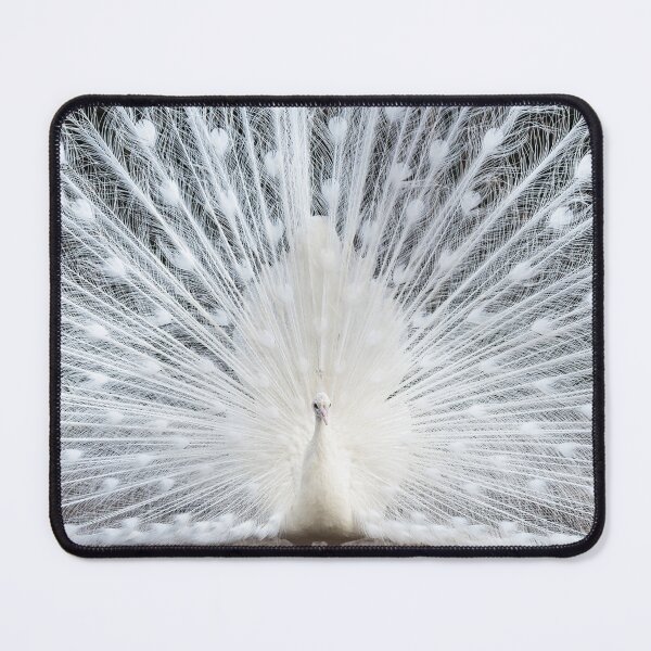 Item preview, A beautiful white peacock with a spread tail designed and sold by Elżbieta  Kaps.