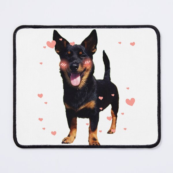 Item preview, Cute Lancashire Heeler: Perfect Gift for Dog Lovers designed and sold by BrooklynRhodes.