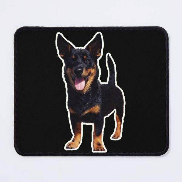 Item preview, Cute Lancashire Heeler: Perfect Gift for Dog Lovers designed and sold by BrooklynRhodes.