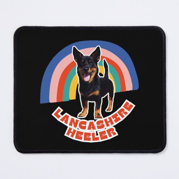 Item preview, Cute Lancashire Heeler Rainbow: Perfect Gift for Dog Lovers designed and sold by BrooklynRhodes.