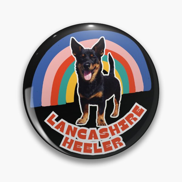 Item preview, Cute Lancashire Heeler Rainbow: Perfect Gift for Dog Lovers designed and sold by BrooklynRhodes.