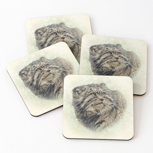 Item preview, Manul-Pallas's cat designed and sold by Guardi71.